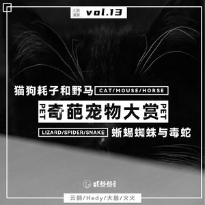 vol.13 奇葩宠物大赏：猫狗耗子和野马，蜥蜴蜘蛛与毒蛇！
