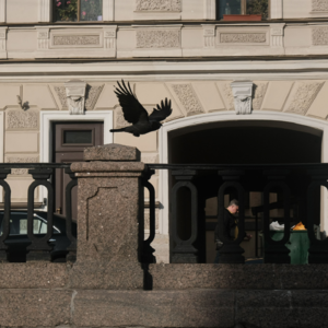 VOL.08 | 俄乌冲突下的朝圣之旅,开启一场冒险扫街游戏