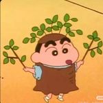一颗大石榴0820