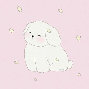 podcaster-avatar