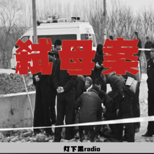 西南石大法学才女弑母案——被三重绞杀的灵魂