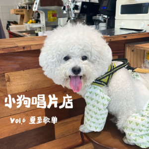 夏至歌单 vol.6 你的夏天还好吗？