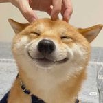 打破舒适圈