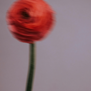 Vol.17 我闯入自己的命运，发现...