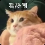 好想再听友的聊