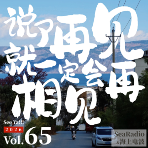 vol.65 说了再见，就一定会再相见 | 朋友圈歌单2025