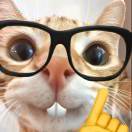 不学好英语不改名字