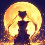 在黄金海岸打网球的炸鸡