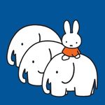 风过耳ing