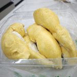 布嘟嘟嘟