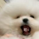 miiaa
