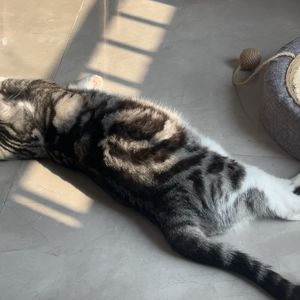podcaster-avatar