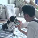 全全砣