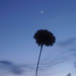 Yui酱不会弹吉他