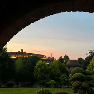 医改新政下如何看病不踩坑？揭秘就医选择的门道