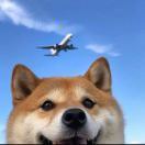 不想悟道了
