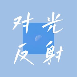 对光反射
