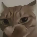 对方正在输入_YDId