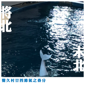 声久村二十四节气之春分——将北未北