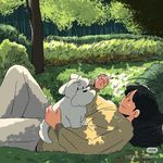 泷泷