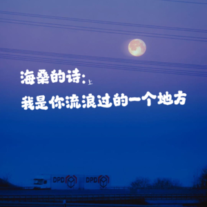 海桑的诗：我是你流浪过的一个地方（上）