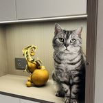 小馄饨1111