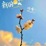 小微丫