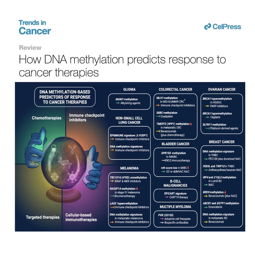 1044-DNA Methylation in Precision Oncology episode artwork