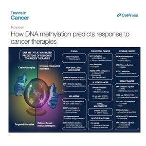 1044-DNA Methylation in Precision Oncology