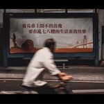 保险经纪人墨墨