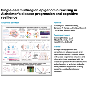 077-Single-cell epigenomic rewiring in Alzheimer’s disease