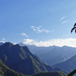 不敢为天下先|老子道德经|老庄智慧|云解老庄