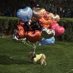 思思想到就去做