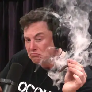 第二十九期：听了4k+ 小时📻播客之后，推荐一下我们喜爱的节目和感悟