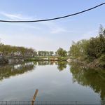 游吟诗人放弃在世外桃源