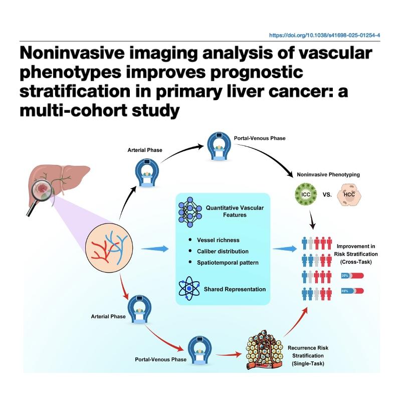 1279-Noninvasive Phenotyping for Liver Cancer Prognosis episode artwork