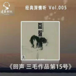 007《回声》上集，少年迷惘少女情怀，三毛、齐豫、潘越云及你我