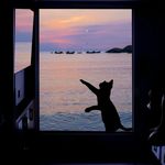 钱一定从四面八方来