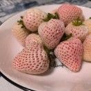 哎呦不错哦_xQBN