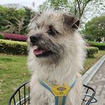 波罗的海七号