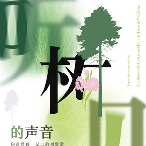 听见树的声音