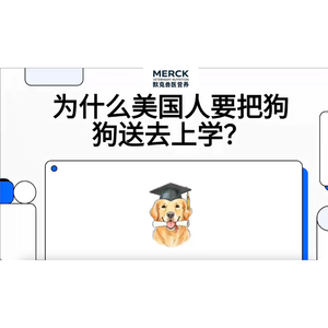 太阳当空照，狗狗上学校？
