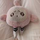 小蛋仔_p90E