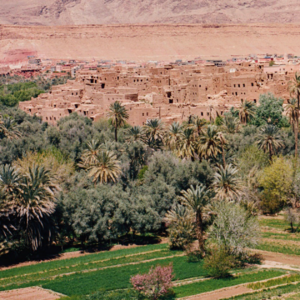 38-Vanishing Oasis
