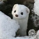 到里斯本看海_pvjl