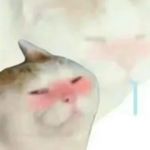 想不到2333