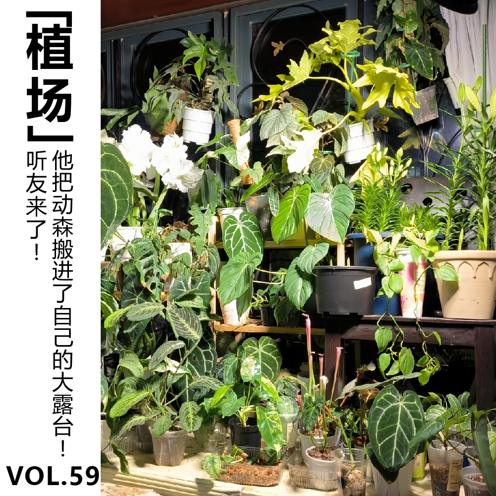 cover of episode Vol.59【植场】听友来了！他把动森搬进了自己的大露台！