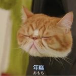 薯条儿条儿