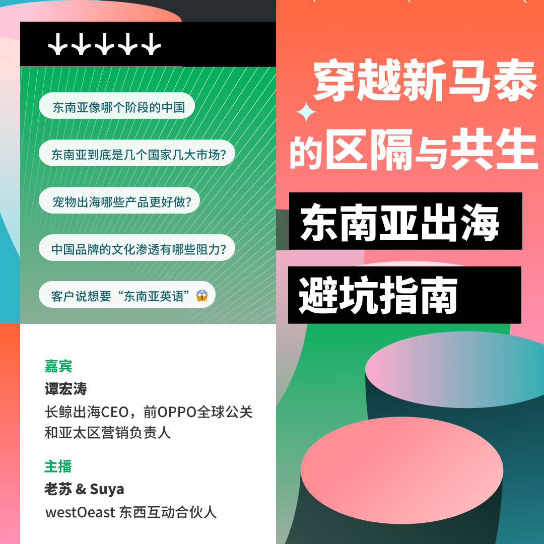 cover of episode 穿越新马泰的区隔和共生：东南亚出海避坑指南