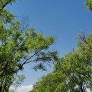 没事就吃溜溜梅_wuiF